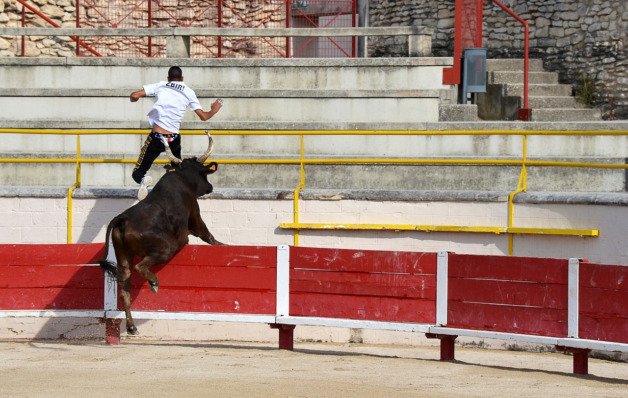 罗唐与武尊