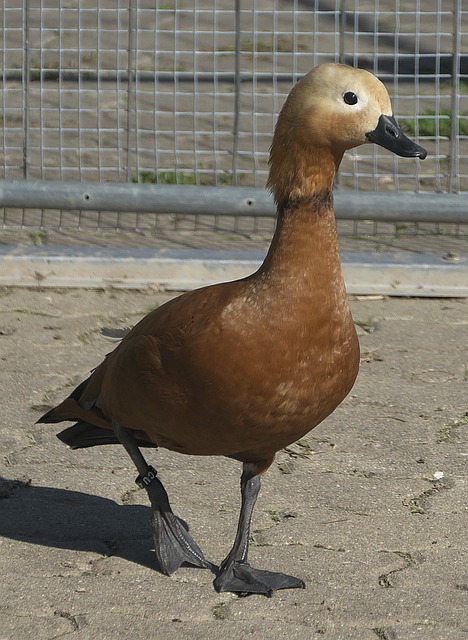不斷