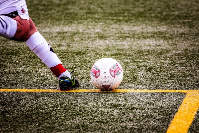 训改革的参 训改革的参