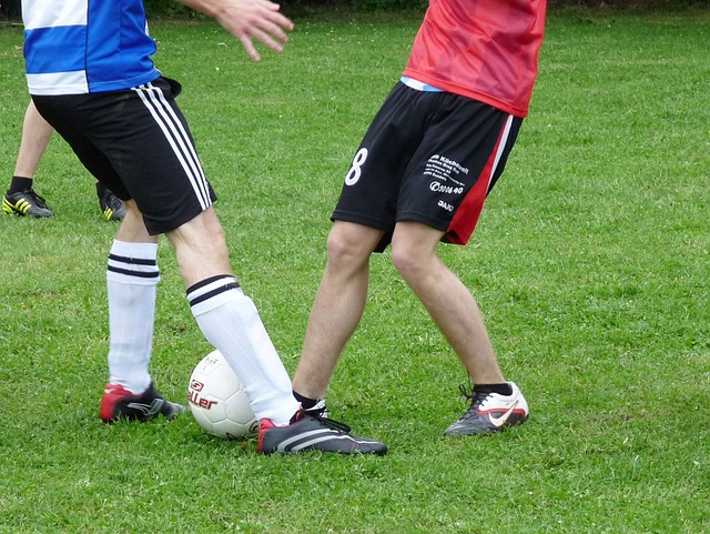 丹佛掘金 丹佛掘金