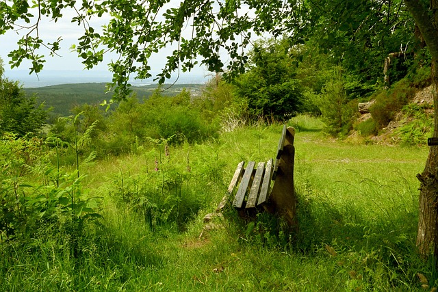 很多粉丝直 很多粉丝直