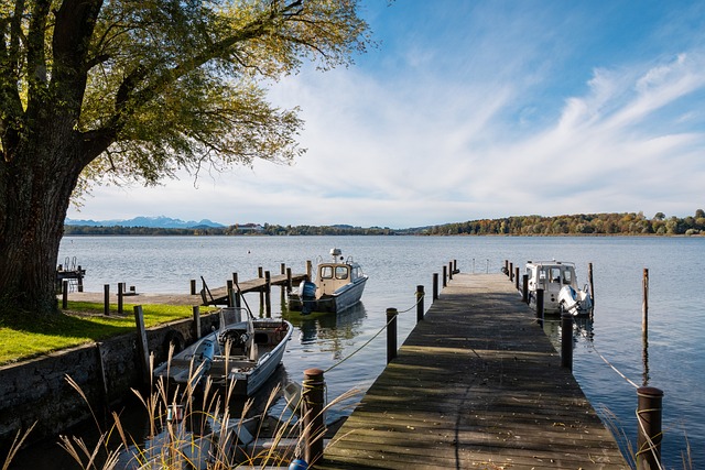 隊徽及隊服 隊徽及隊服