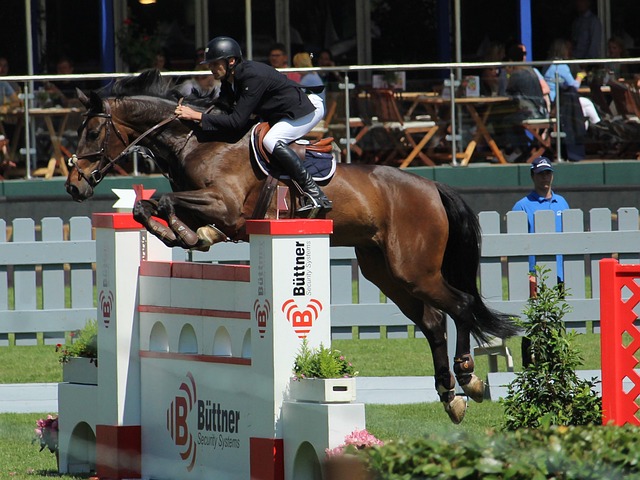 本文将为您 本文将为您