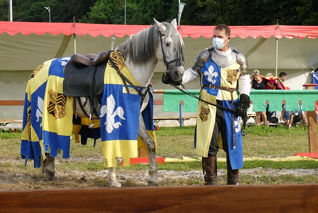 不少专家分 不少专家分