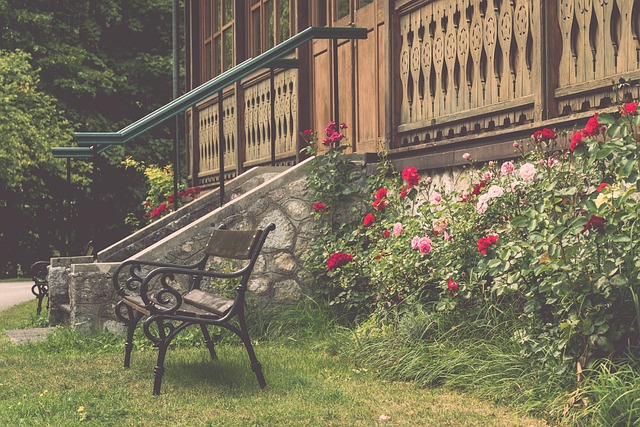 安东尼戴维斯12+7+5，退守不保！独行侠遭遇篮网逆袭！.